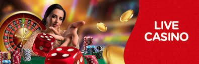 chicken rode Slots